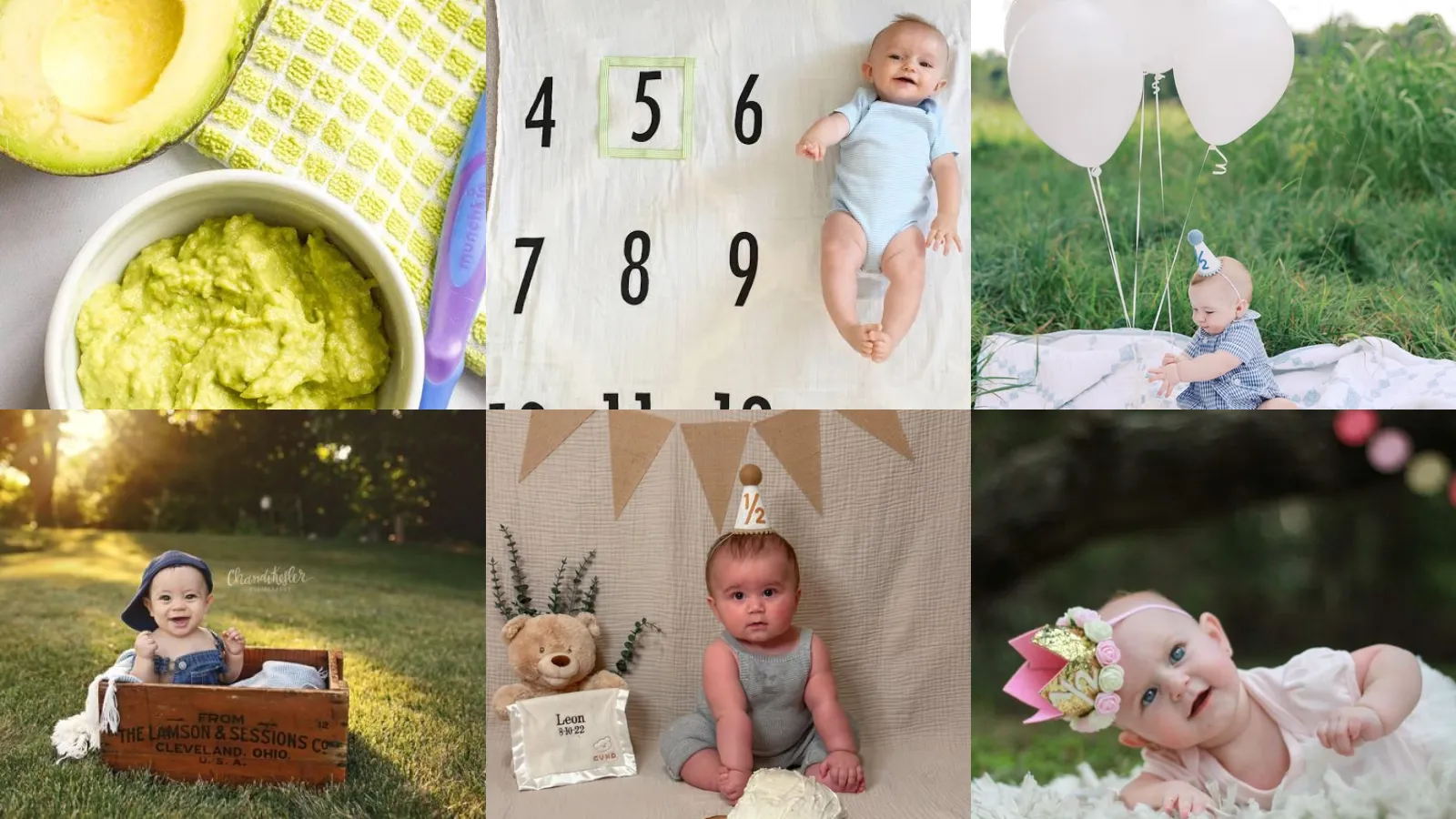 19+ Easy 6 Month Baby Food Ideas Parents Swear By