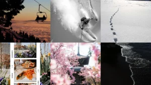 19+ Stunning Ski Photo Ideas That Go Viral