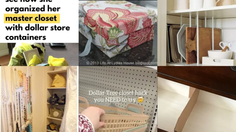 20+ Genius Closet Organization Ideas On A Budget Worth Steal