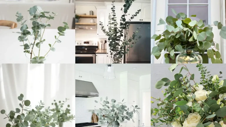 28+ Stunning Eucalyptus Vase Decor Ideas That Transform