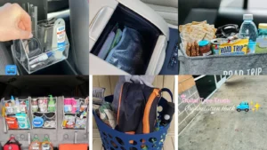 20 Dollar Tree Car Organization Ideas and Storage Inspiration