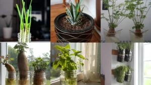 20 Kitchen Scrap Gardening Ideas to Inspire Your Next Little Growing Project